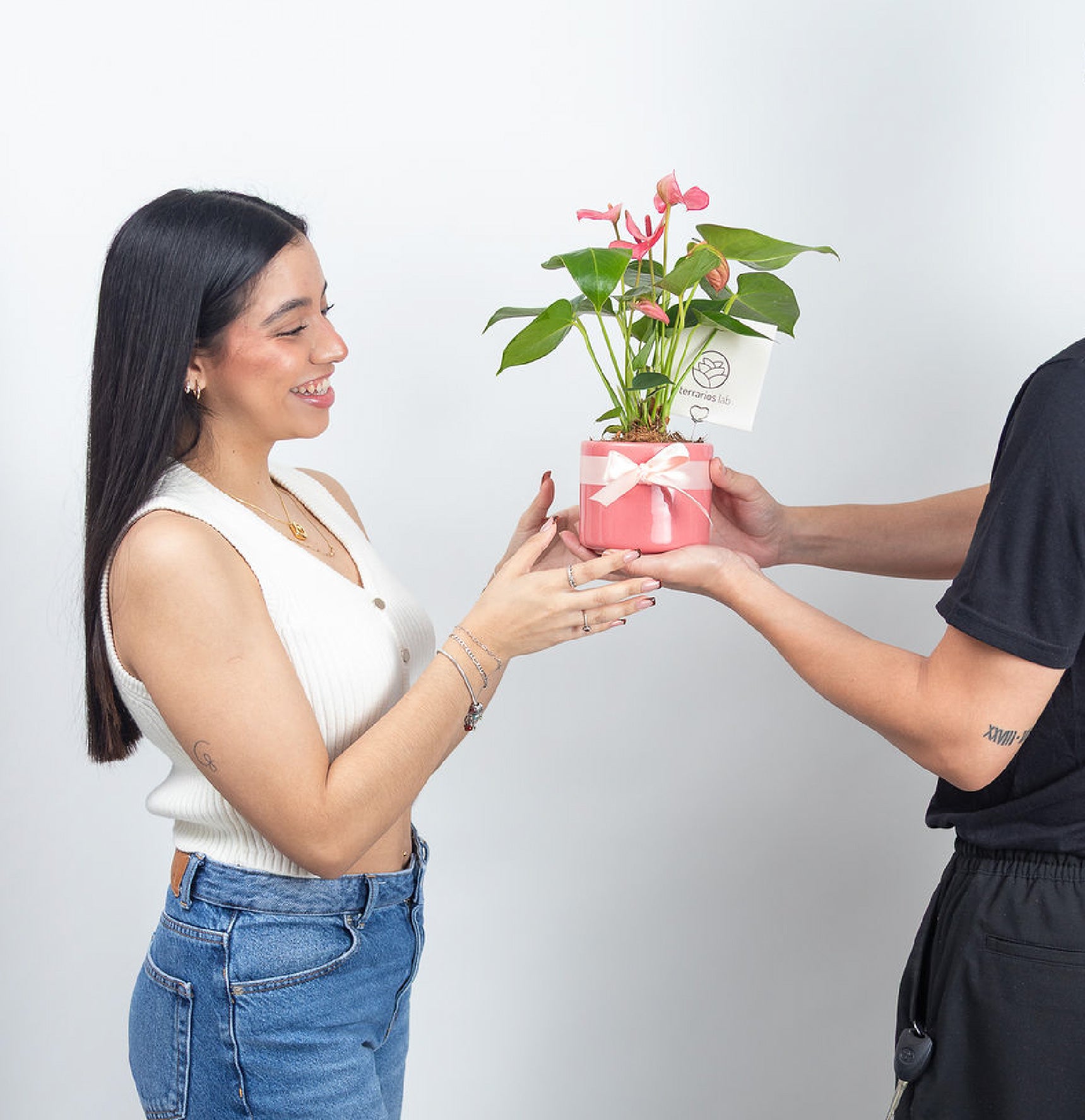 Anturio de Regalo - Cilindro Chico