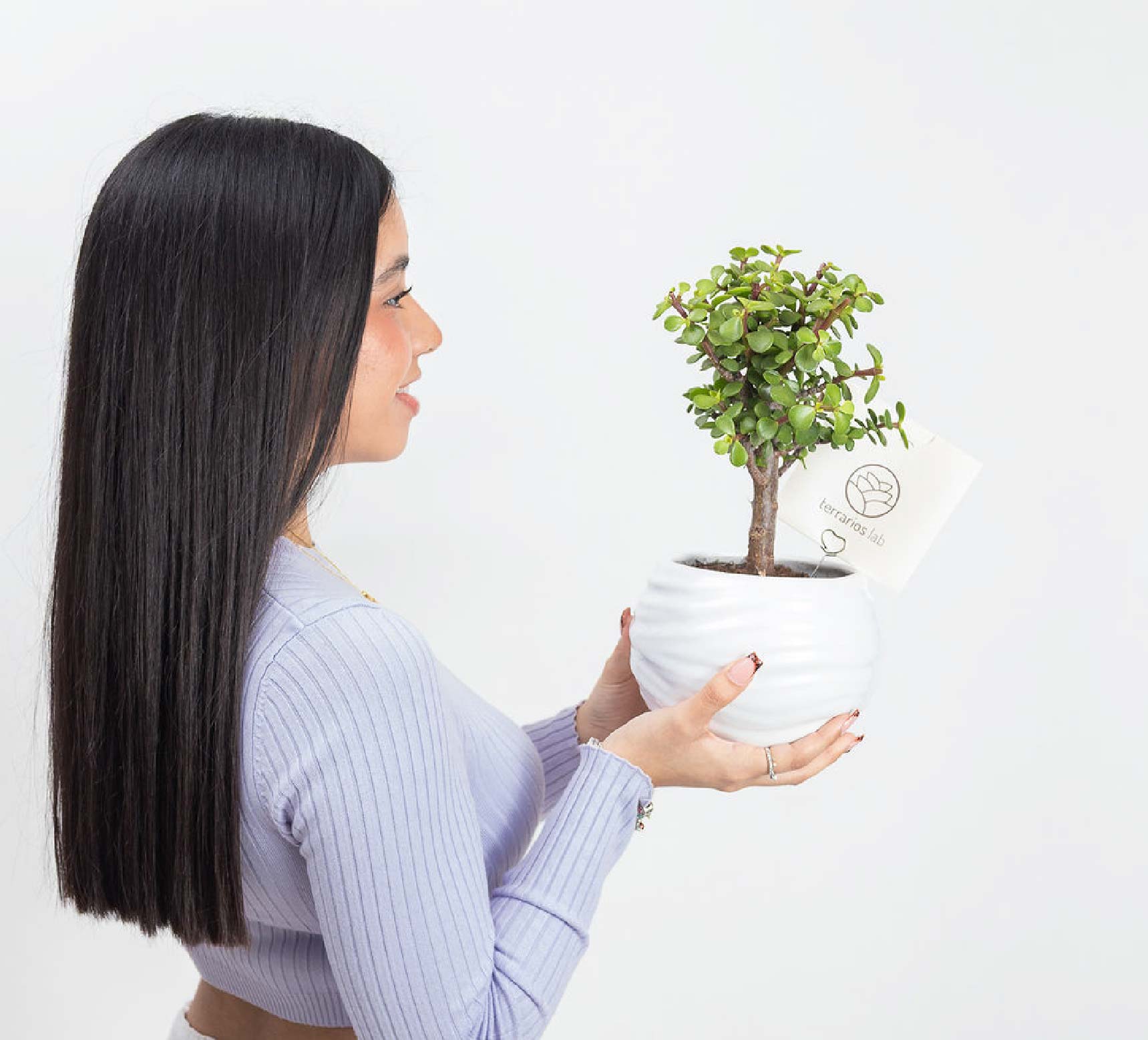 Maceta Caramelo - Regalo