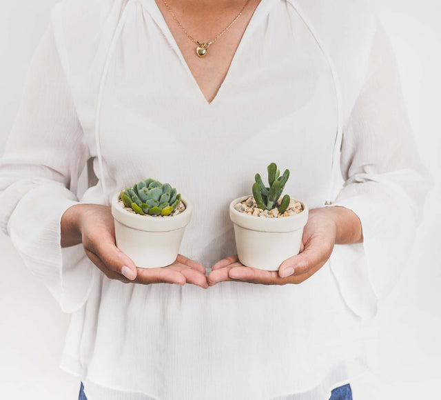 Elefantástico Cumpleaños - Combo