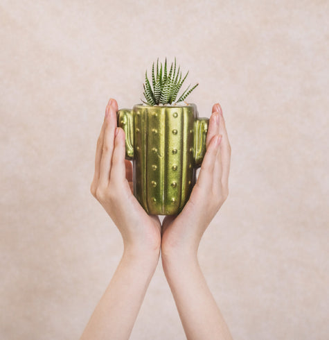 Cactus de Cerámica - Recuerdo