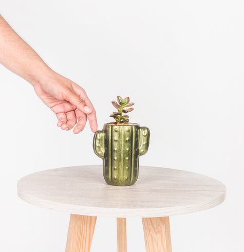 Cactus de Cerámica - Recuerdo
