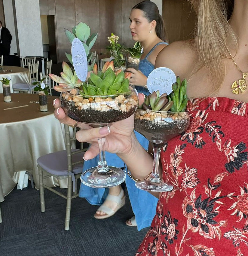 Recuerdo Vivo con Plantas para Eventos - Doble Propósito