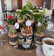 Recuerdo Vivo con Plantas para Eventos - Doble Propósito