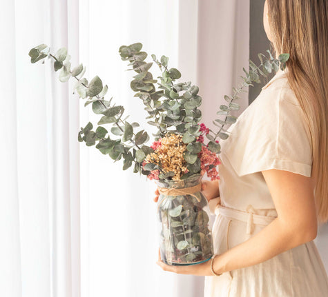 Eucalipto Eterno - Regalo