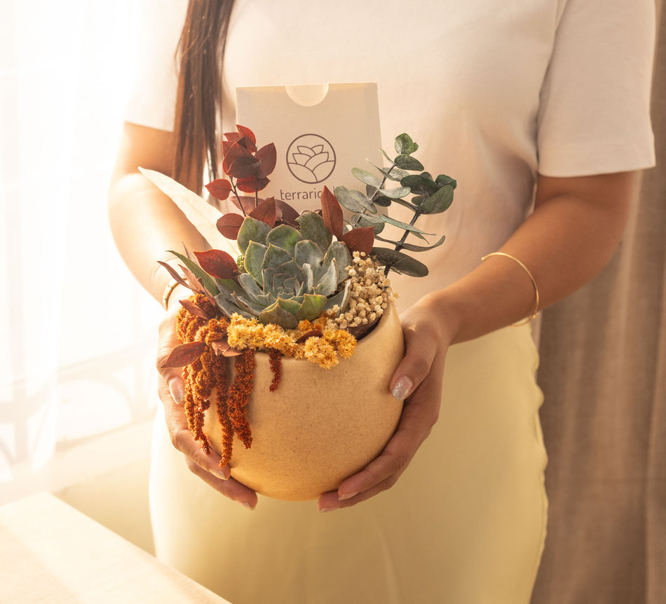 Continuo Atardecer - Regalo