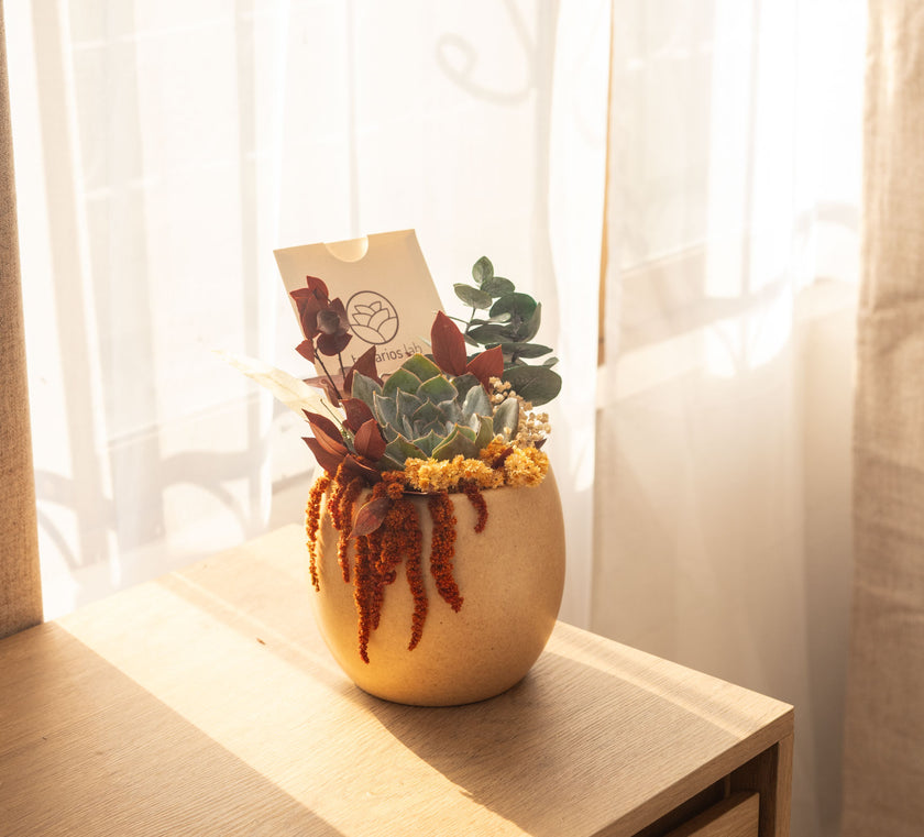 Continuo Atardecer - Regalo