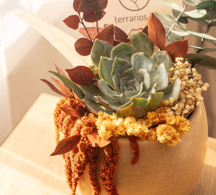 Continuo Atardecer - Regalo