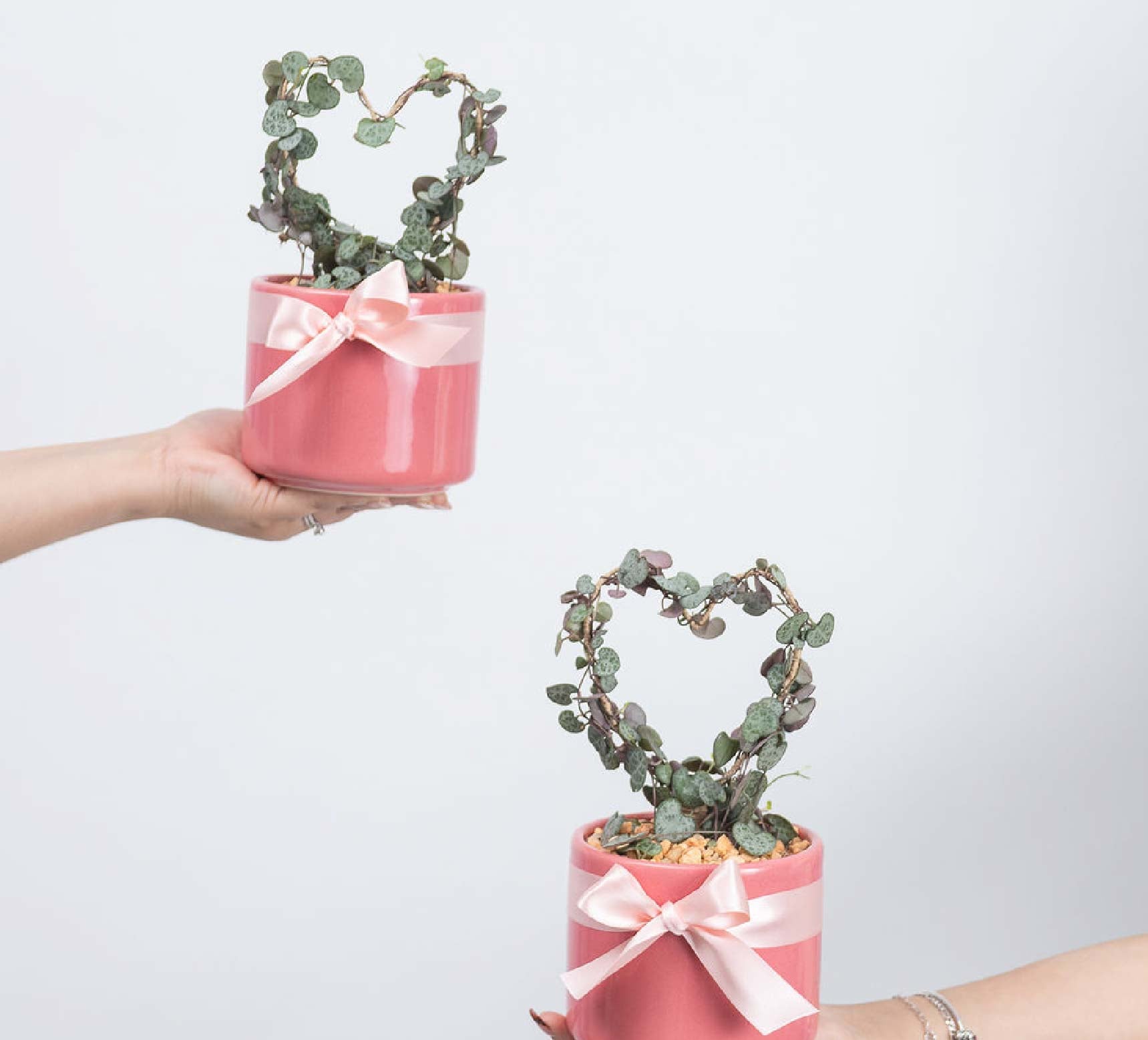 Hilo de Corazones - Regalo