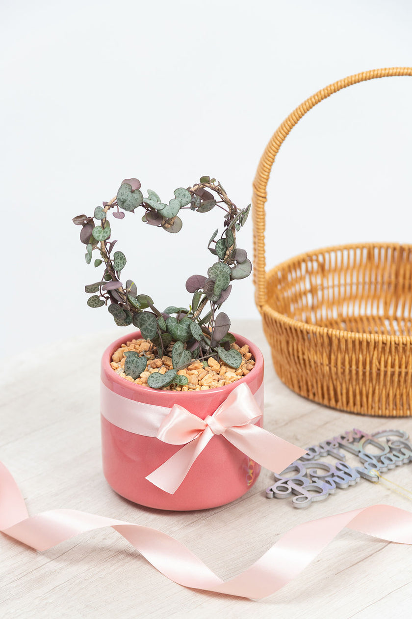 Hilo de Corazones - Regalo