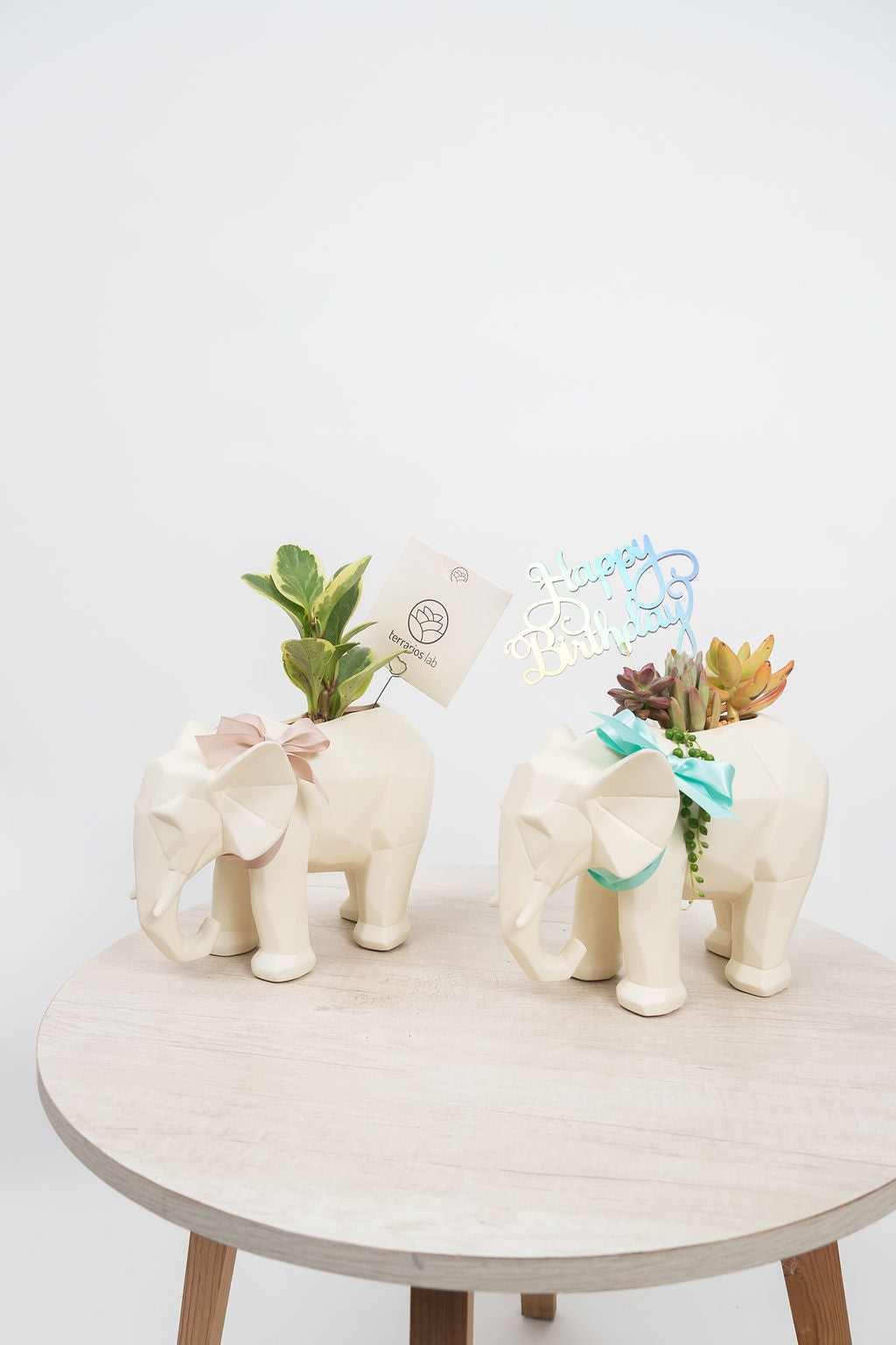 Elefantástico - Cumpleaños