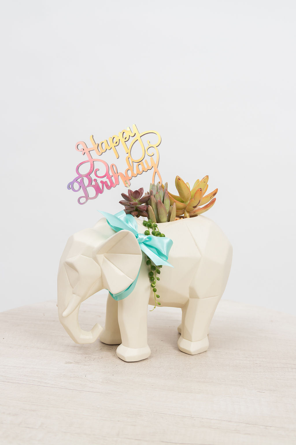 Elefantástico - Cumpleaños