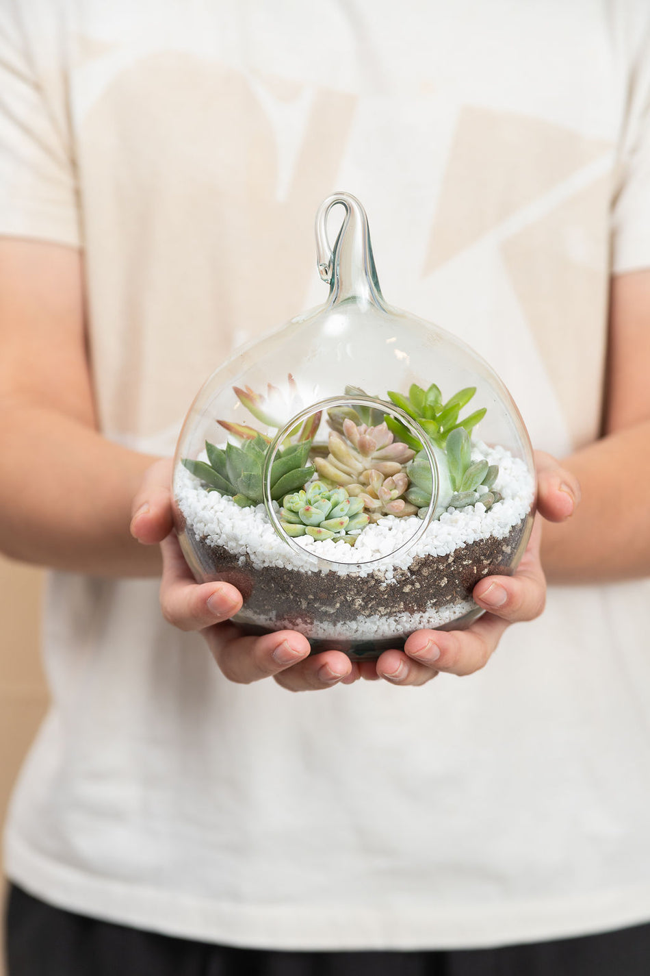 Terrario de Regalo con Suculentas