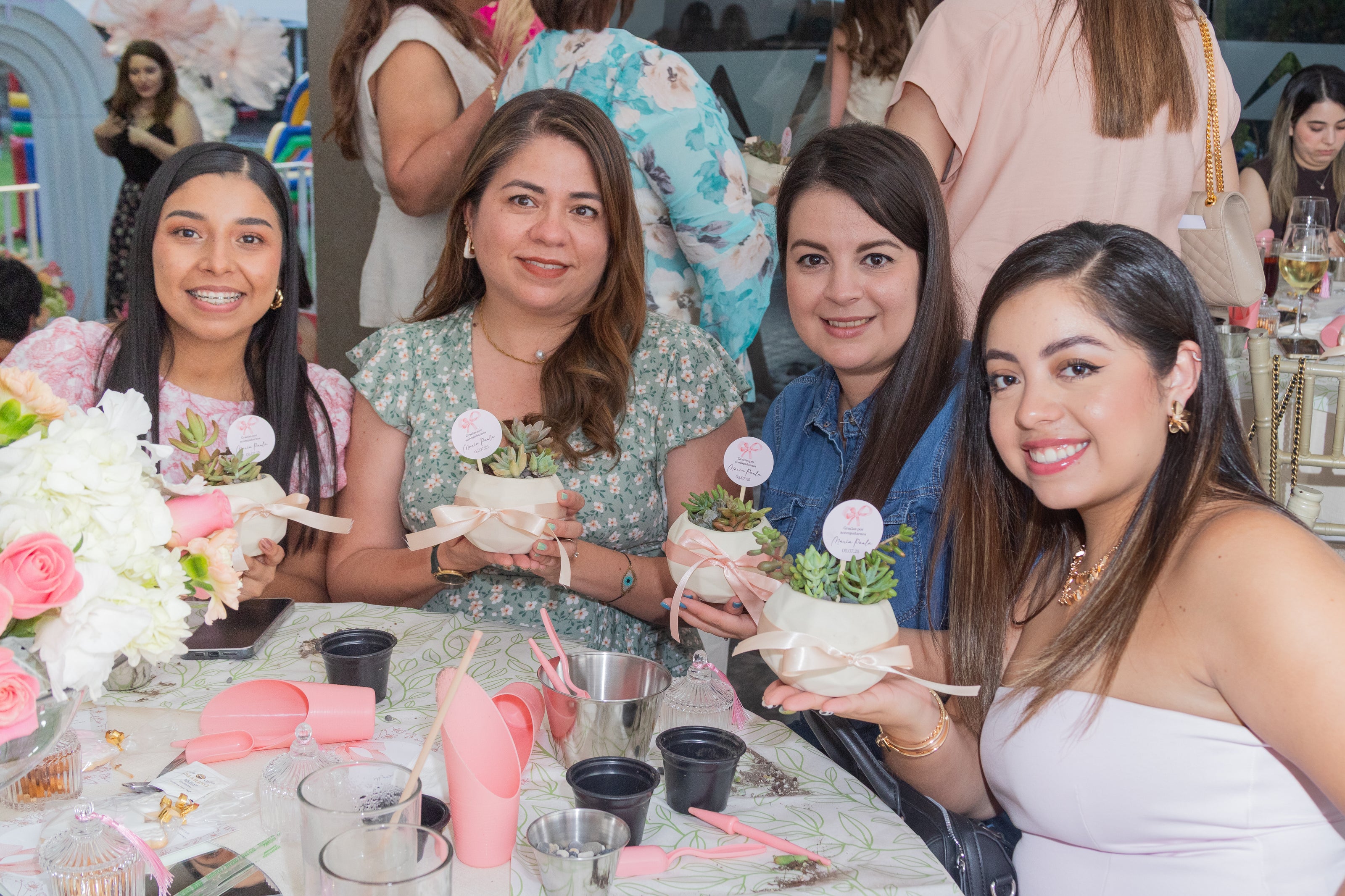 Geométrica Suculenta - Recuerdo