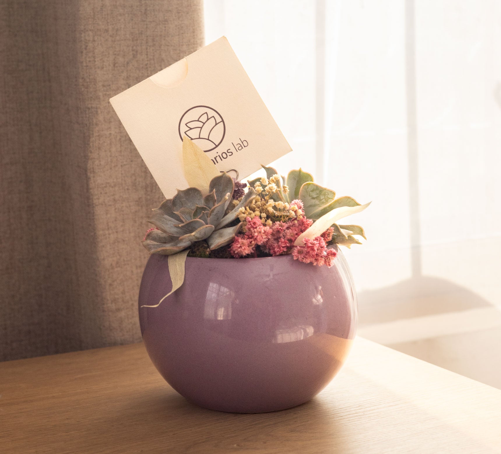 Lavanda Serena - Regalo