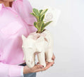 Elefantástico con Plantas - Regalo