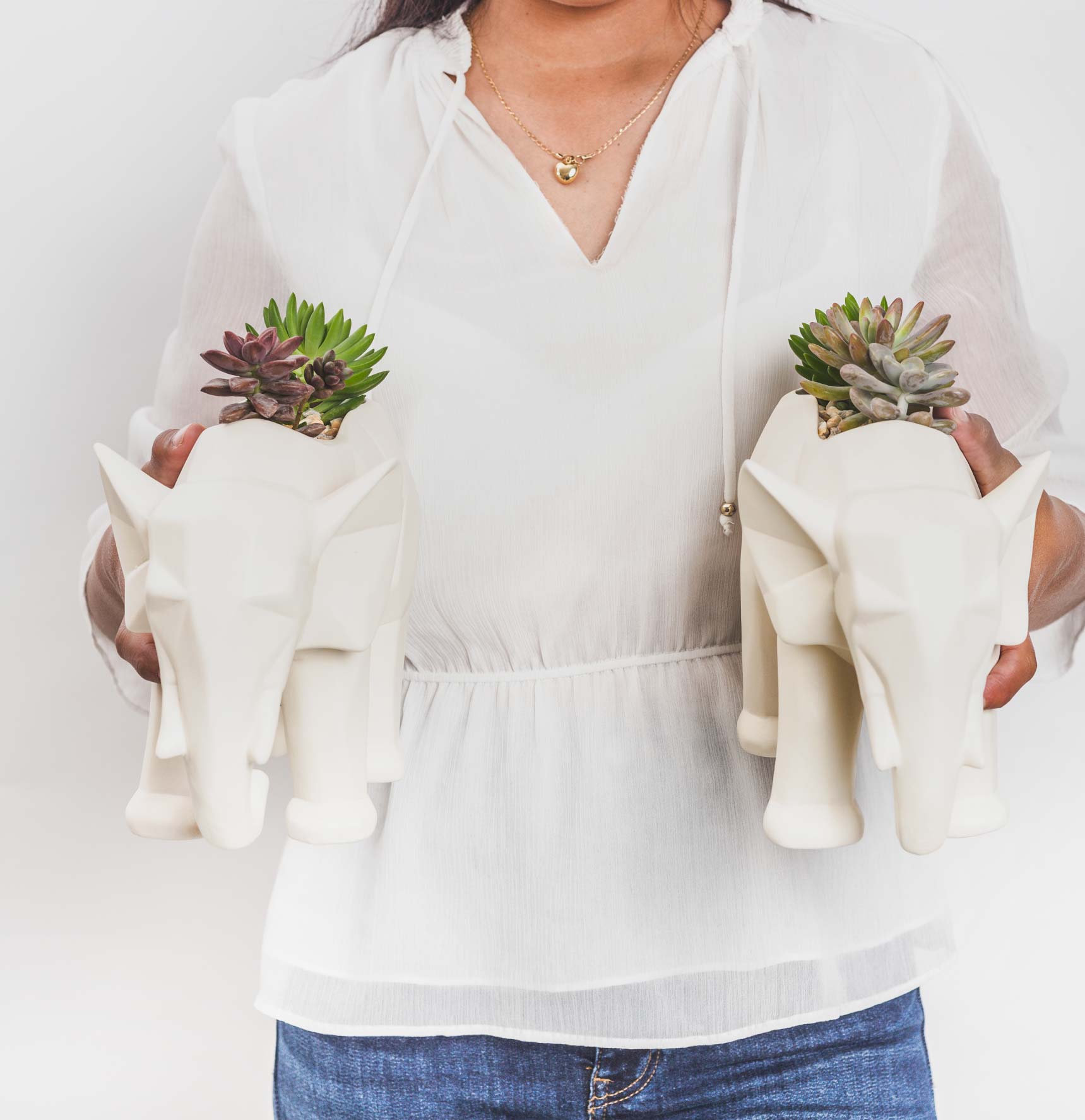 Elefantástico con Plantas - Regalo