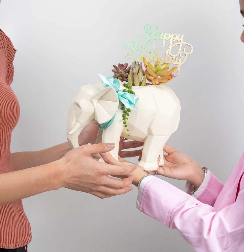 Elefantástico - Cumpleaños