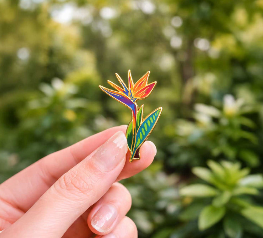 Pin 2D  Ave del Paraíso