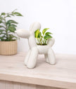 Puppy Planter de Regalo