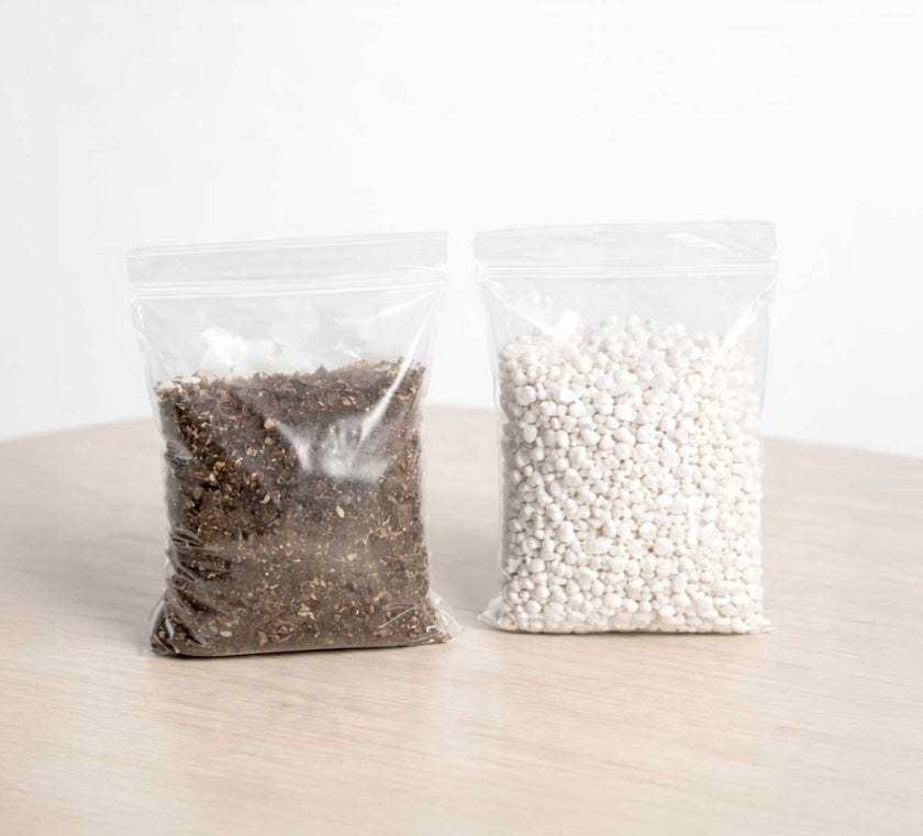 Terrario de Regalo con Suculentas - Kit