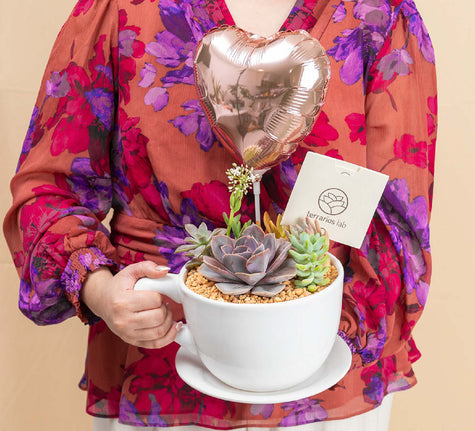 Taza Suculenta con Globo - Regalo