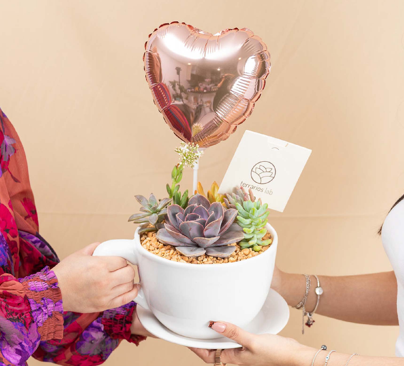 Taza Suculenta con Globo - Regalo