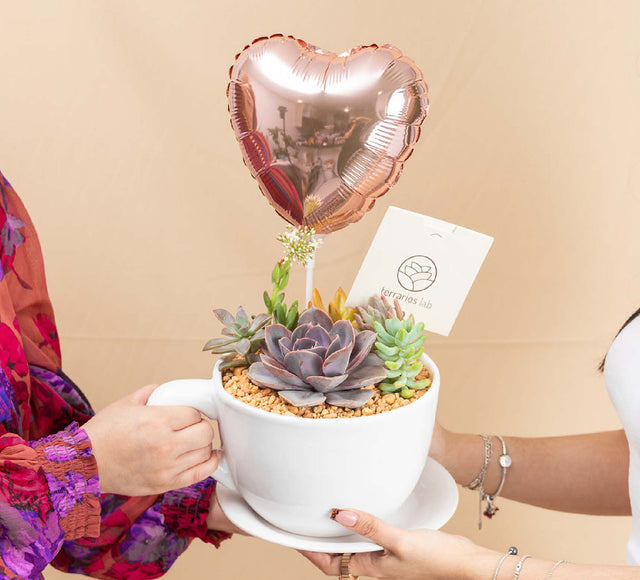 Taza Suculenta con Globo - Regalo