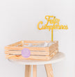 Terrario de Regalo con Suculentas