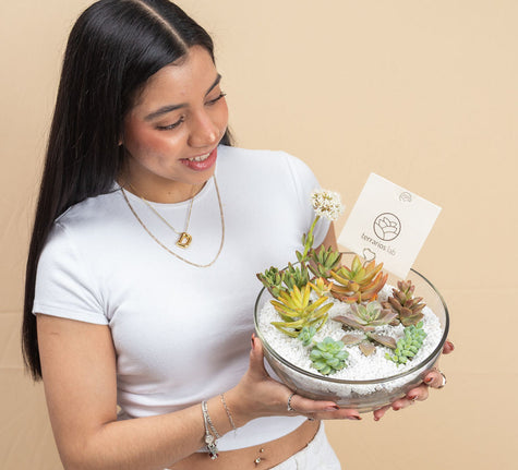 Terrario Media Luna con Suculentas - Regalo
