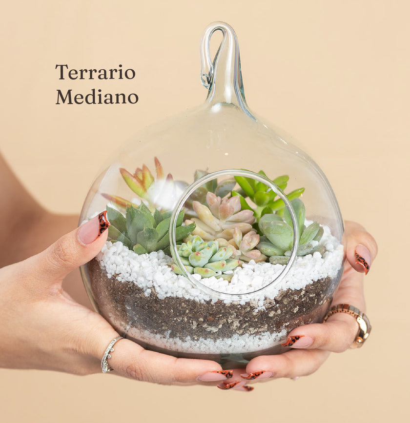 Terrario - Recuerdo para Evento