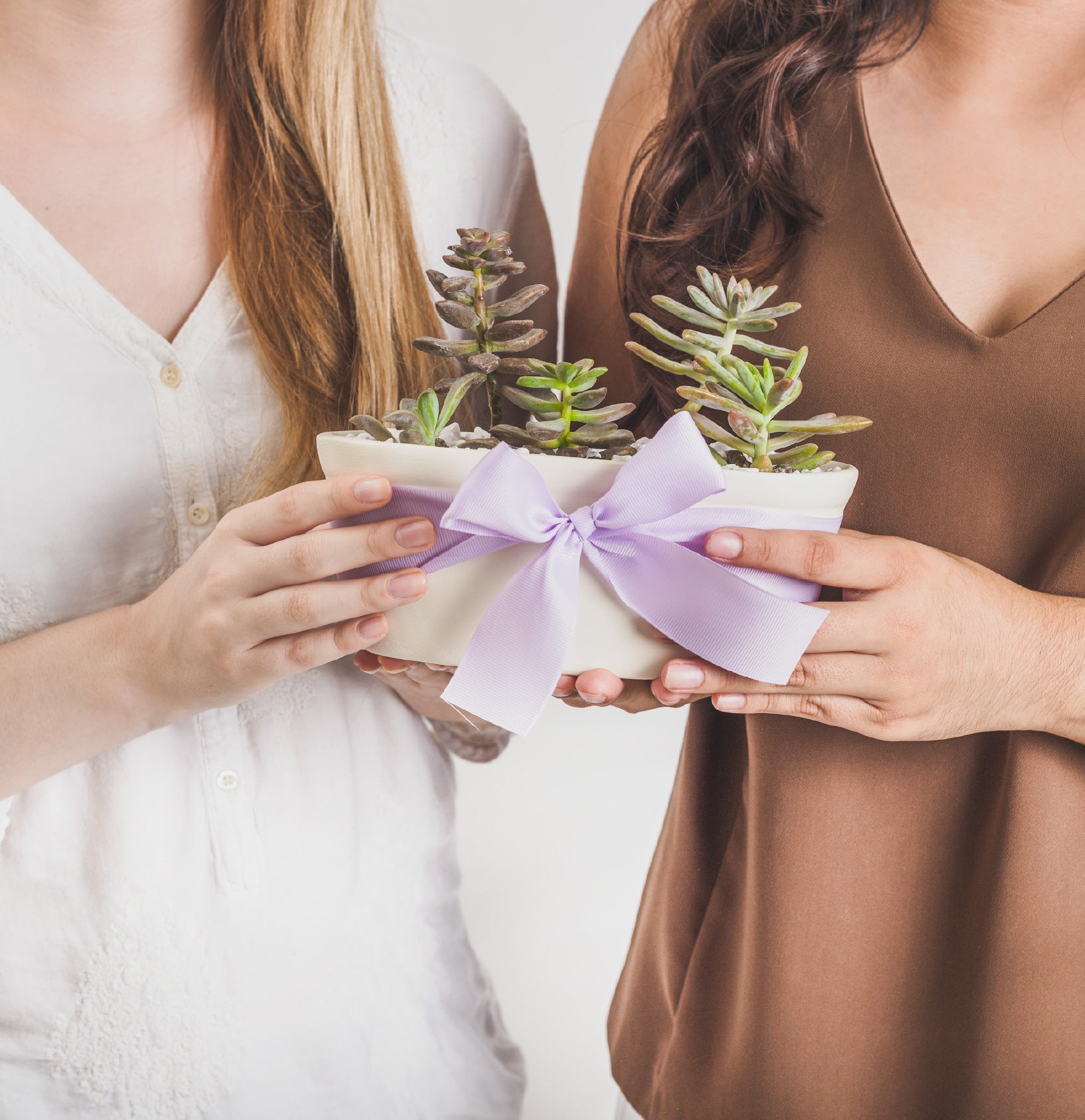 Tina con Suculentas de Regalo